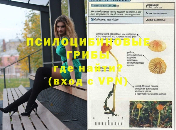индика Алексин