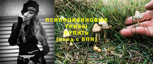 винт Михайлов